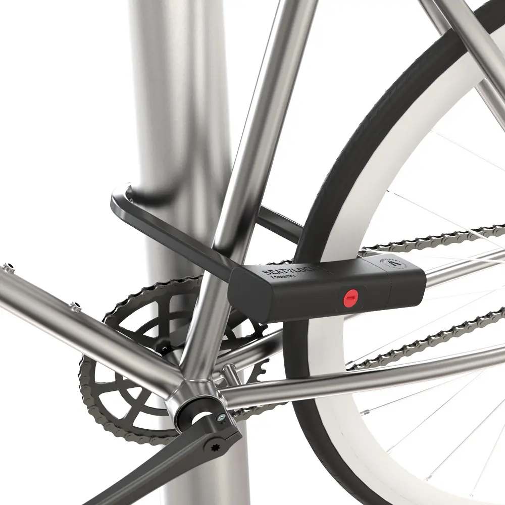 Mason 220_Locking Bike.webp