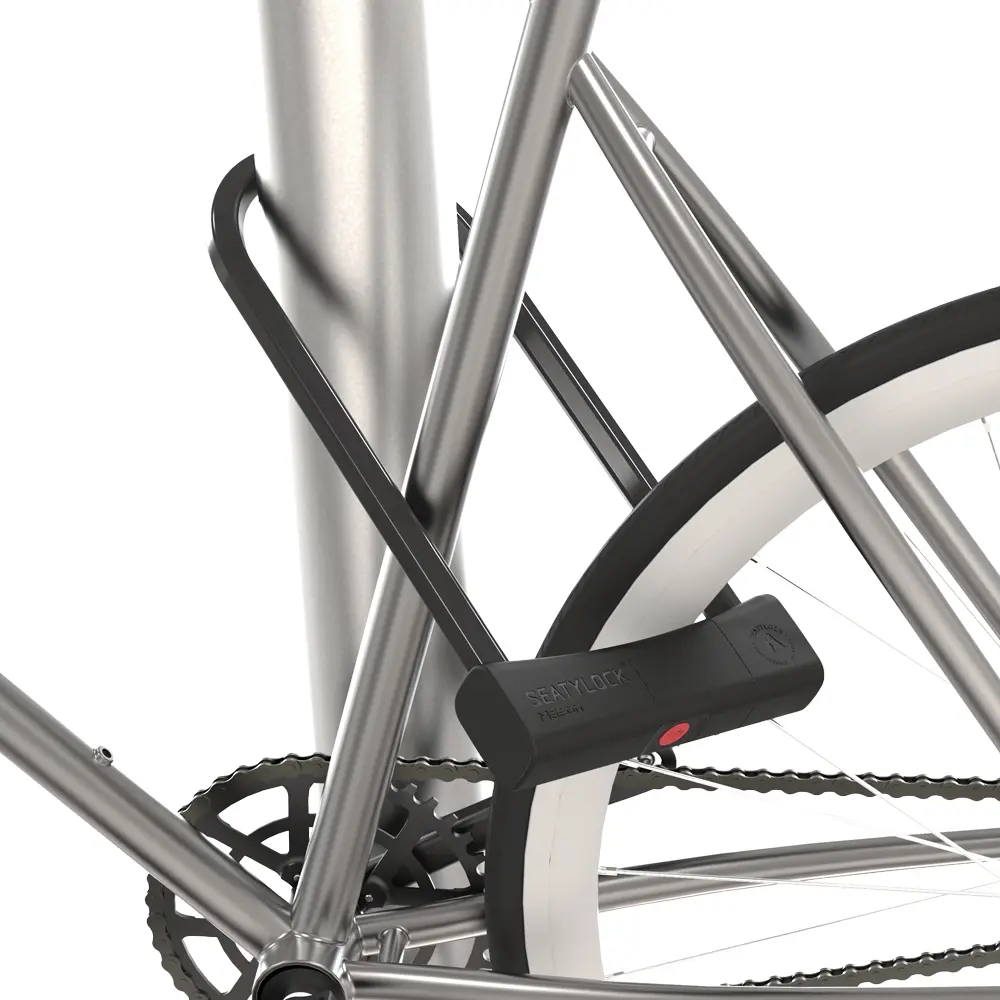 Mason 300_# Locking Bike.webp