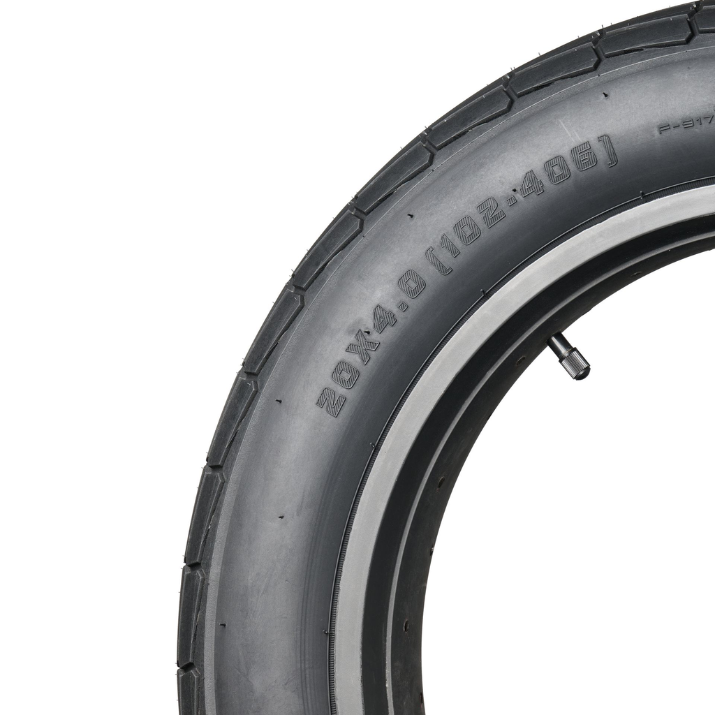 Flattrack tire 20x4 fatbike0031.webp