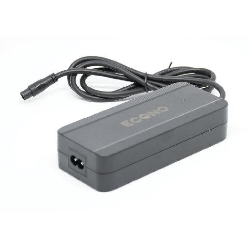 [F01.002.48v] FORS 48V ebike accu lader